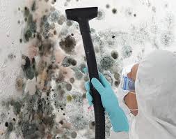 Best Environmental Consulting for Mold Prevention  in Wailua Homesteads, HI